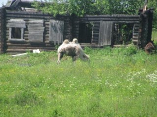 IMG_0846.JPG