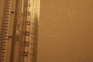 DSC01371.jpg